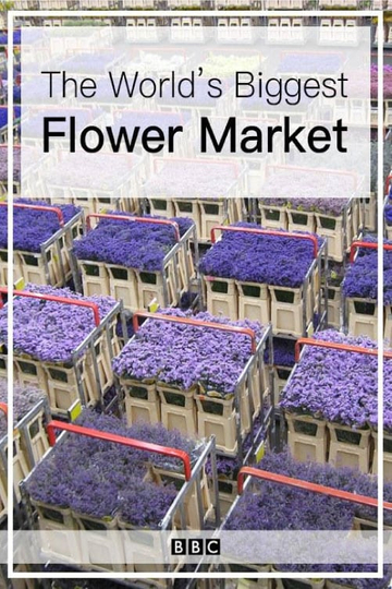 The Worlds Biggest Flower Market