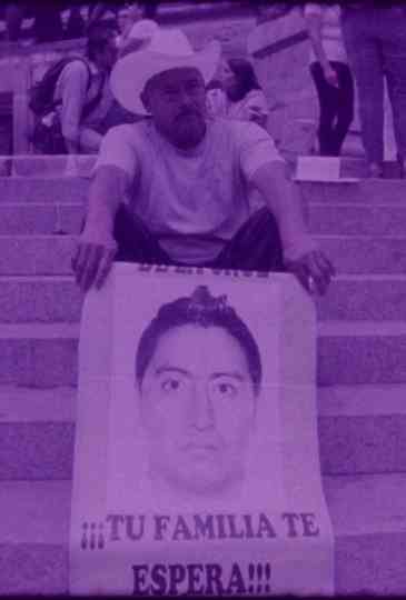 Have You Seen