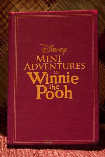 Mini Adventures of Winnie the Pooh Poster
