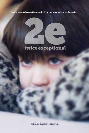 2e Twice Exceptional Poster
