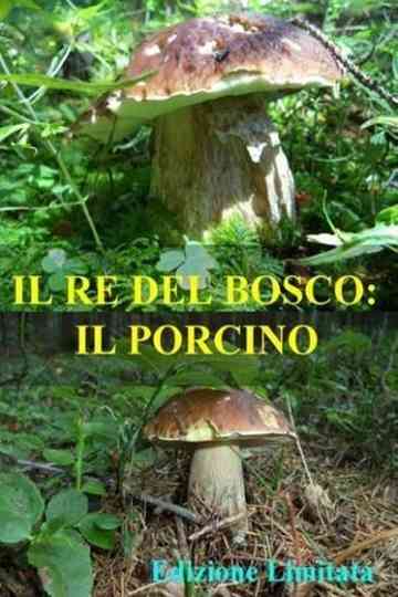 Il re del bosco il porcino poster