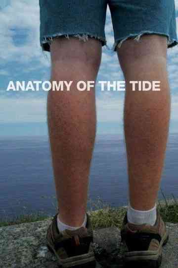 Anatomy of the Tide