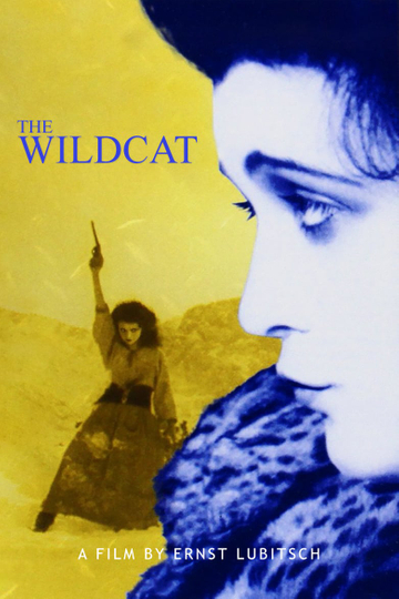 The Wildcat Poster