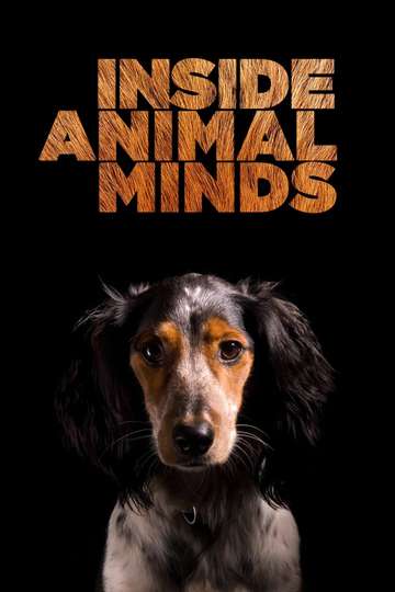 Inside Animal Minds Poster