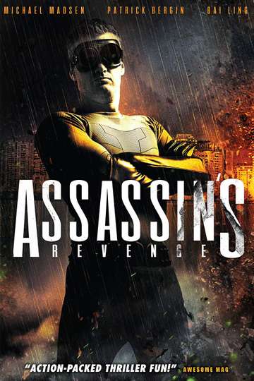 Assassins Revenge Poster