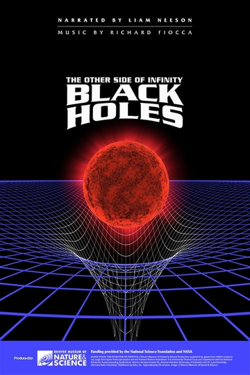 Black Holes: The Other Side of Infinity