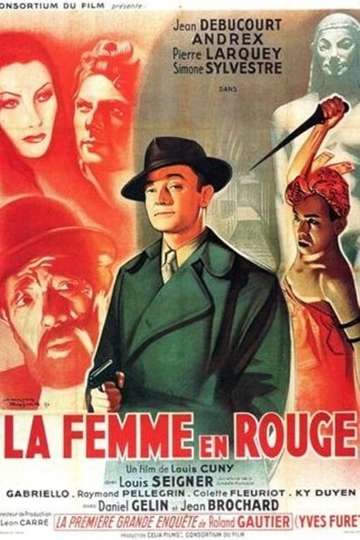 The Woman in Red Poster