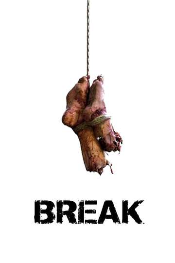 Break Poster