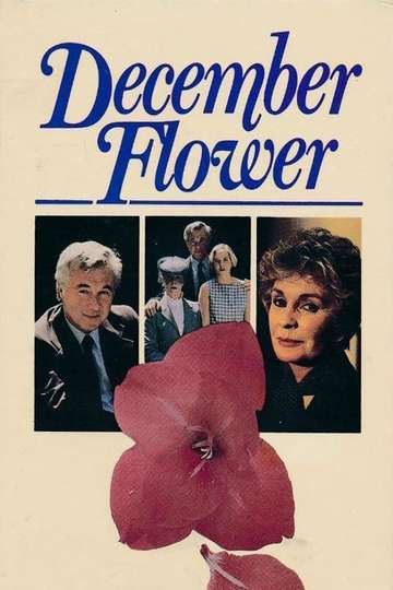 December Flower Poster