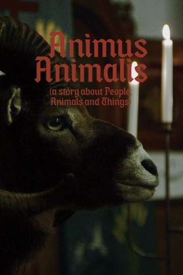 Animus Animalis A Story about People Animals and Things