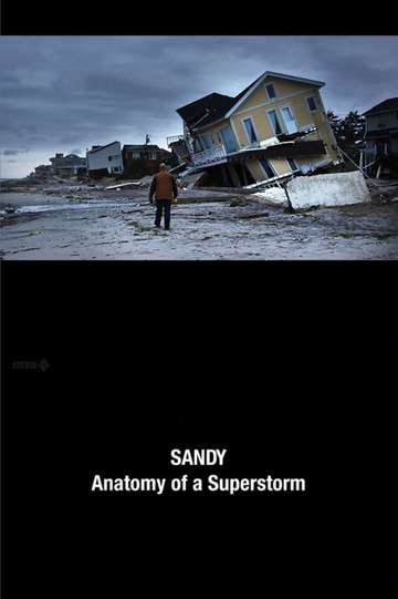 Sandy Anatomy of a Superstorm Poster