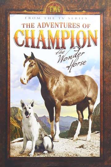 The Adventures of Champion Poster