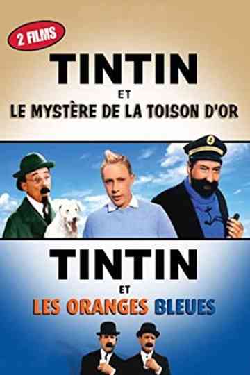 Tintin - Saga Poster