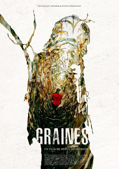 Graines Poster