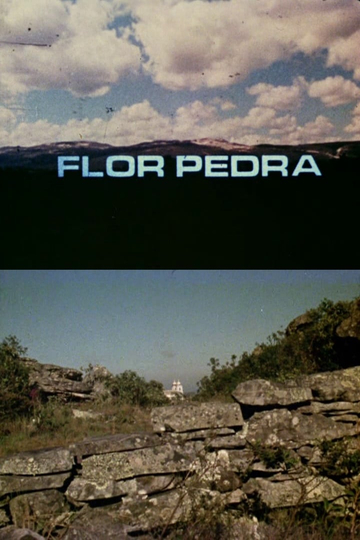 Flor Pedra