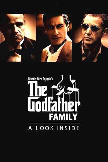 The Godfather Family: A Look Inside poster