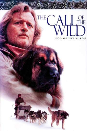 The Call of the Wild Dog of the Yukon Poster