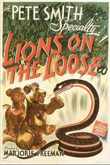 Lions on the Loose Poster