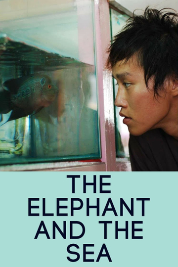 The Elephant and the Sea