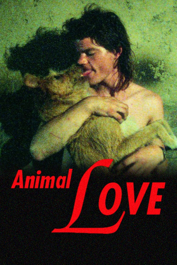 Animal Love