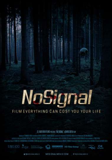 No Signal Poster