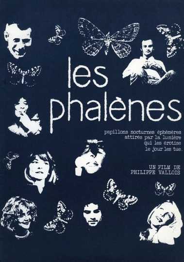 Les phalènes Poster