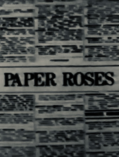 Paper Roses