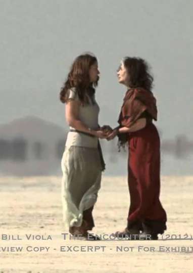 The Encounter - Movie | Moviefone