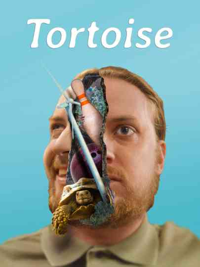 Tortoise