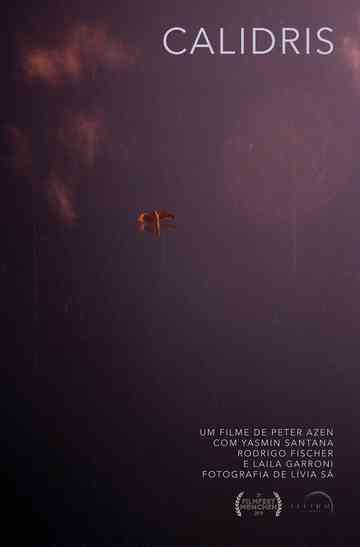 Calidris