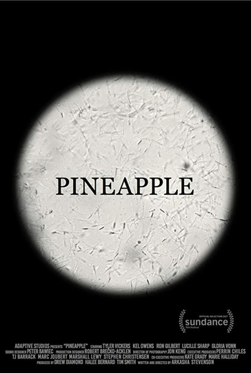 Pineapple Poster