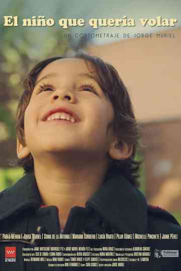 The Boy Who Wanted to Fly Poster