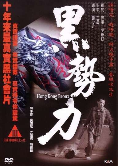 Hong Kong Bronx Poster
