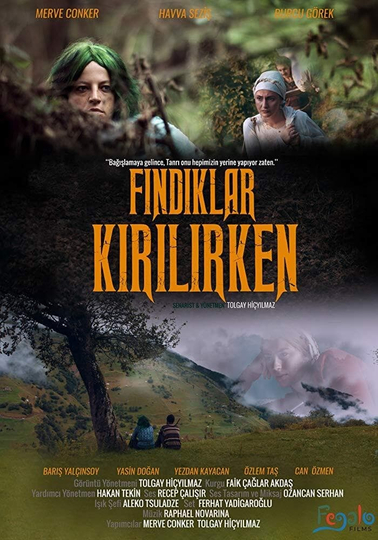 Fındıklar Kırılırken Poster