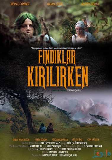 Fındıklar Kırılırken