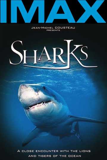 Sharks 3D Poster