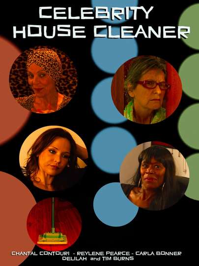 Celebrity House Cleaner Poster