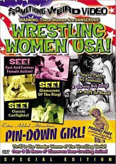 Wrestling Women USA Poster