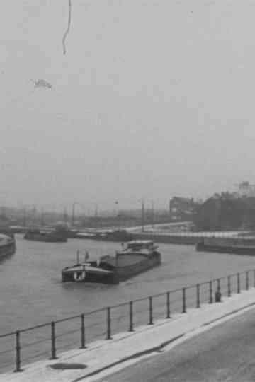 Marins d'eau douce