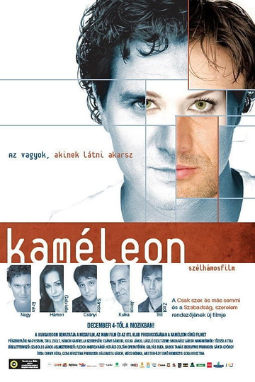 Chameleon Poster