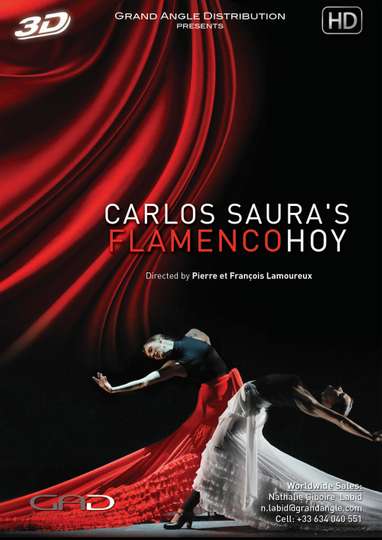 Carlos Sauras FlamencoHoy Poster