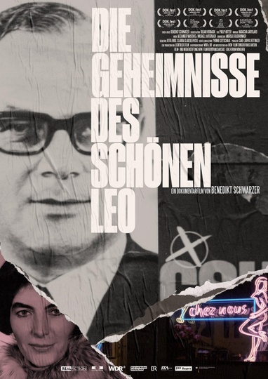 Die Geheimnisse des schönen Leo Poster