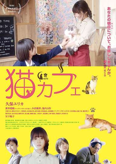 Cat Cafe Poster