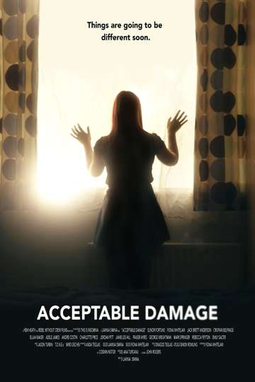 Acceptable Damage Poster