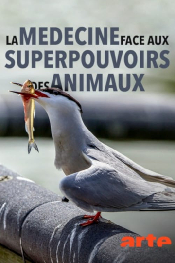 Wild Medicine: Animals' Superpowers Poster