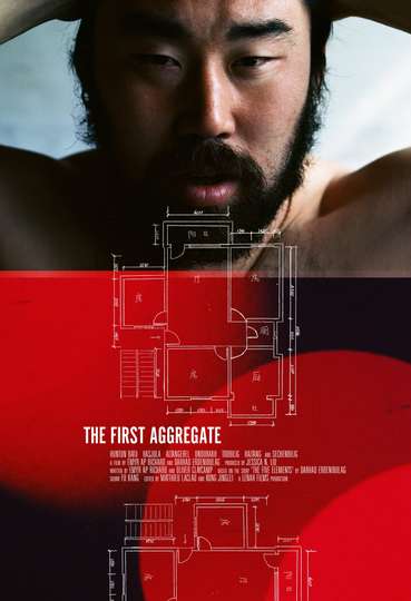 The First Aggregate Poster