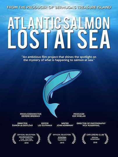 Atlantic Salmon: Lost at Sea Poster