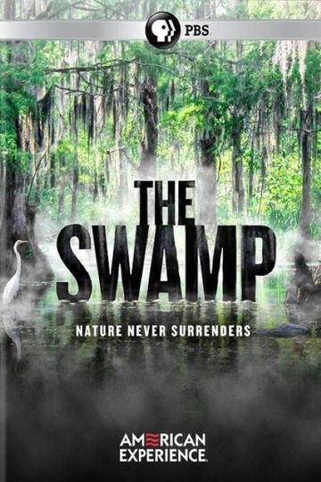 The Swamp