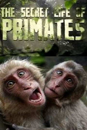 The Secret Life of Primates (2009) - TV Show | Moviefone