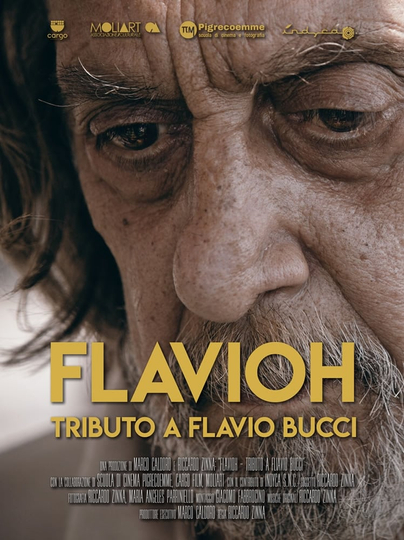 Flavioh  Tributo a Flavio Bucci
